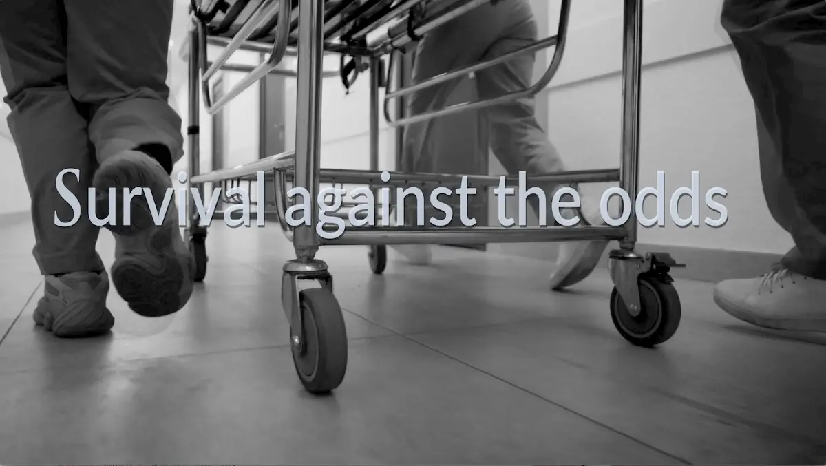 Book Trailer Preview